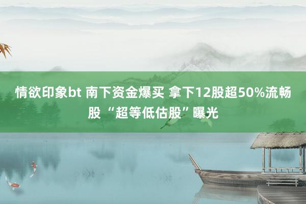 情欲印象bt 南下资金爆买 拿下12股超50%流畅股 “超等低估股”曝光