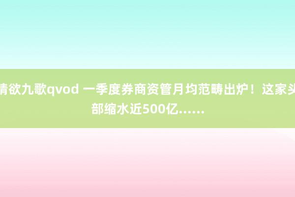 情欲九歌qvod 一季度券商资管月均范畴出炉！这家头部缩水近500亿......