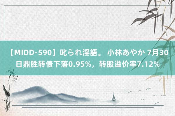 【MIDD-590】叱られ淫語。 小林あやか 7月30日鼎胜转债下落0.95%，转股溢价率7.12%