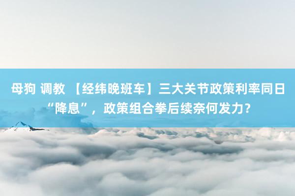 母狗 调教 【经纬晚班车】三大关节政策利率同日“降息”，政策组合拳后续奈何发力？