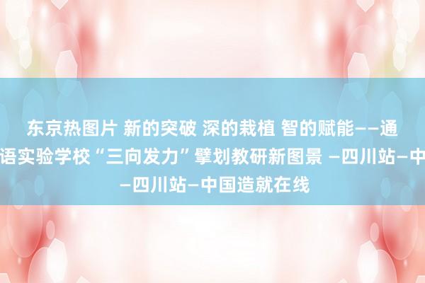 东京热图片 新的突破 深的栽植 智的赋能——通江超前番邦语实验学校“三向发力”擘划教研新图景 —四川站—中国造就在线