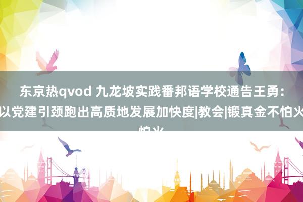 东京热qvod 九龙坡实践番邦语学校通告王勇：以党建引颈跑出高质地发展加快度|教会|锻真金不怕火