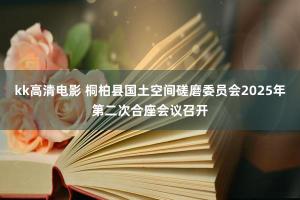kk高清电影 桐柏县国土空间磋磨委员会2025年第二次合座会议召开