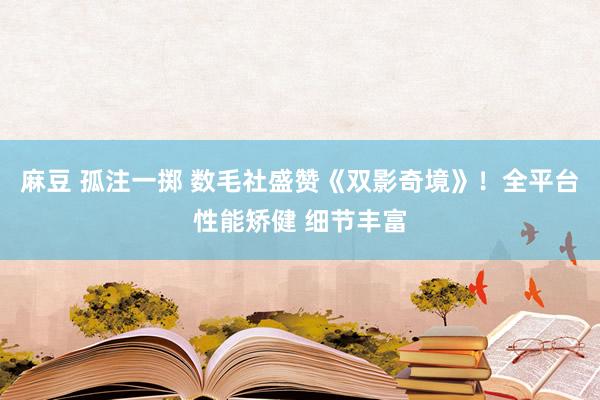 麻豆 孤注一掷 数毛社盛赞《双影奇境》！全平台性能矫健 细节丰富