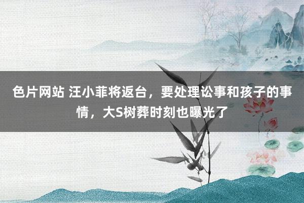 色片网站 汪小菲将返台，要处理讼事和孩子的事情，大S树葬时刻也曝光了