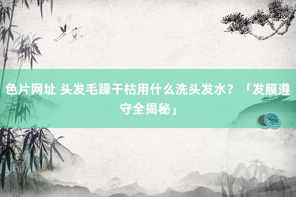 色片网址 头发毛躁干枯用什么洗头发水？「发膜遵守全揭秘」