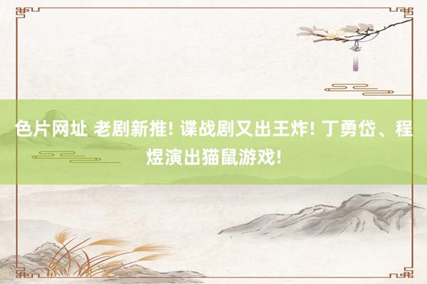 色片网址 老剧新推! 谍战剧又出王炸! 丁勇岱、程煜演出猫鼠游戏!