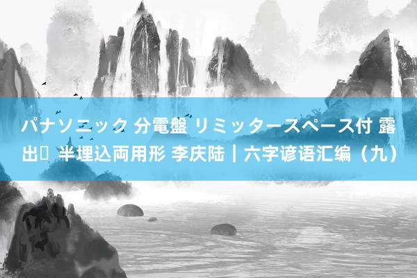 パナソニック 分電盤 リミッタースペース付 露出・半埋込両用形 李庆陆｜六字谚语汇编（九）