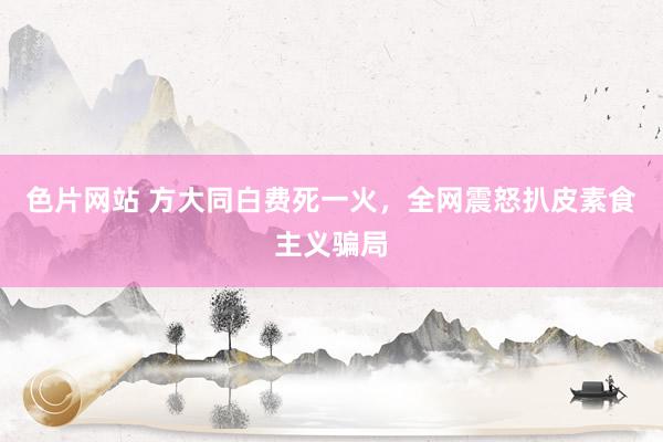 色片网站 方大同白费死一火，全网震怒扒皮素食主义骗局